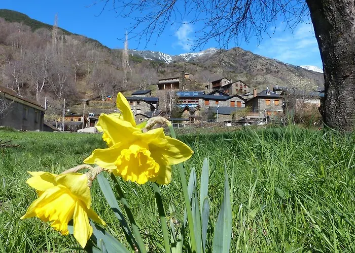 Apartahotel Àreu